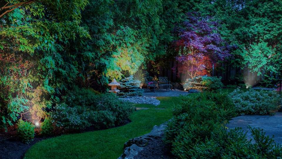 The lighting design of a garden